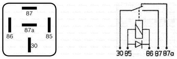 thumb (5)